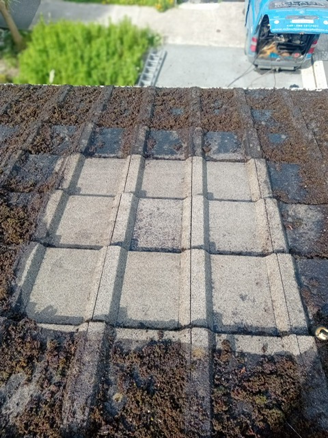 tile cleaning on roof